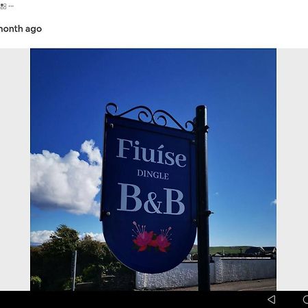 دينغل Fiuise B&B المظهر الخارجي الصورة